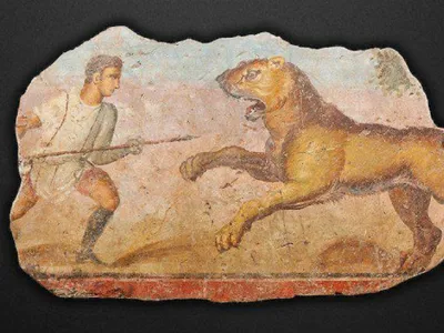 Cel mai mare gladiator care a luptat cu animale sălbatice - Foto: arhiva