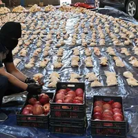 Siria a devenit noul „narco-stat de pe Marea Mediterană”/foto: the economist