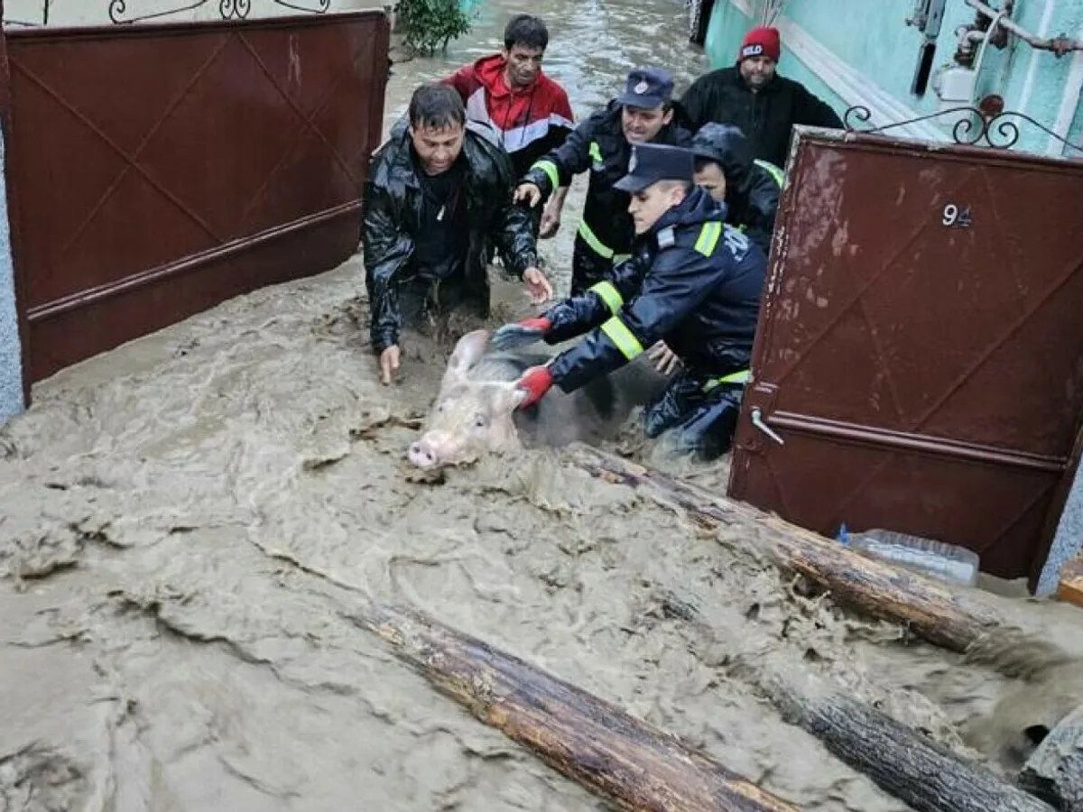Potop, după o ploaie torențială de jumătate de oră. Mașini luate de ape pe străzi - Foto Arhivă / imagine cu caracter ilustrativ