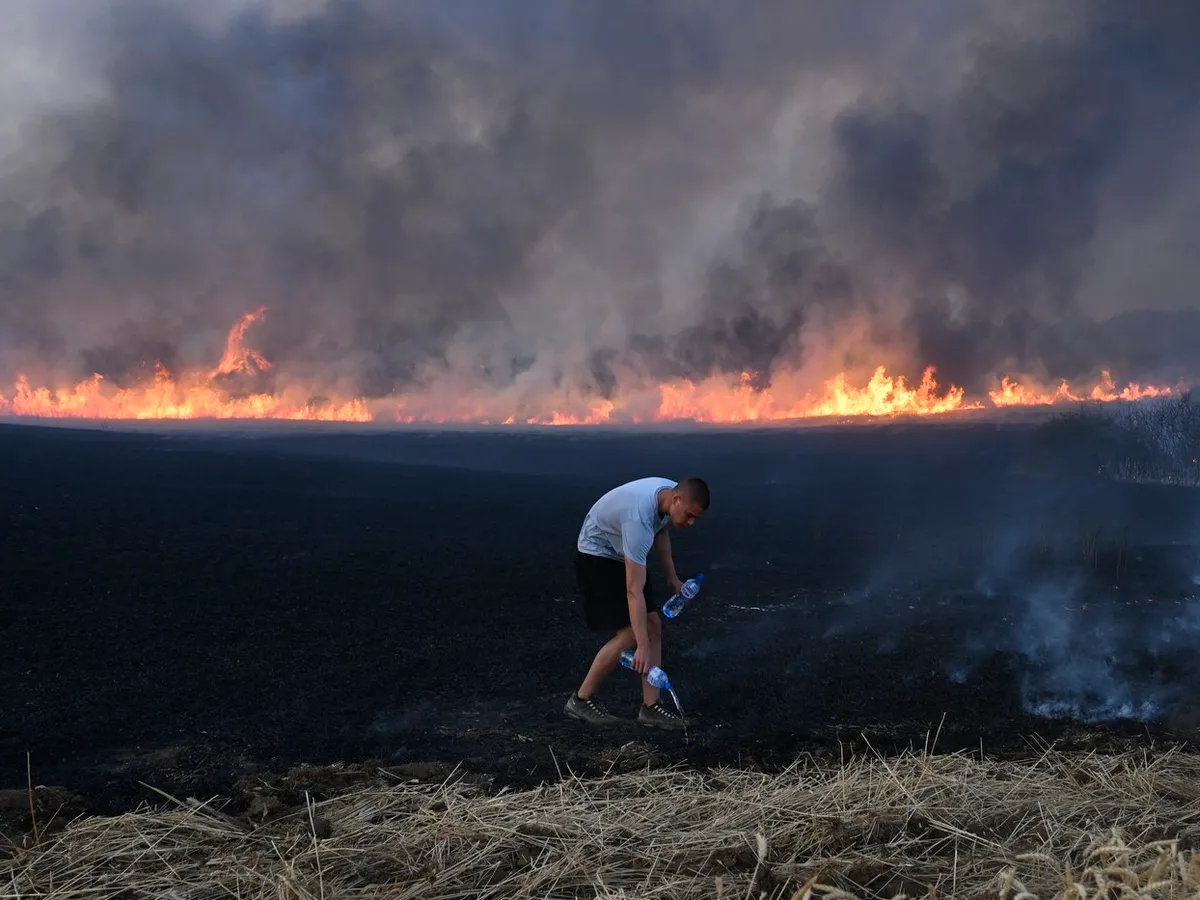 Incendii devastatoare în Bulgaria - Foto: Profimedia Images