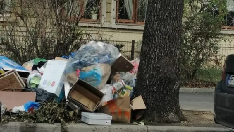 Gunoi neridicat în Sectorul 1 al Capitalei/FOTO: G4 Media