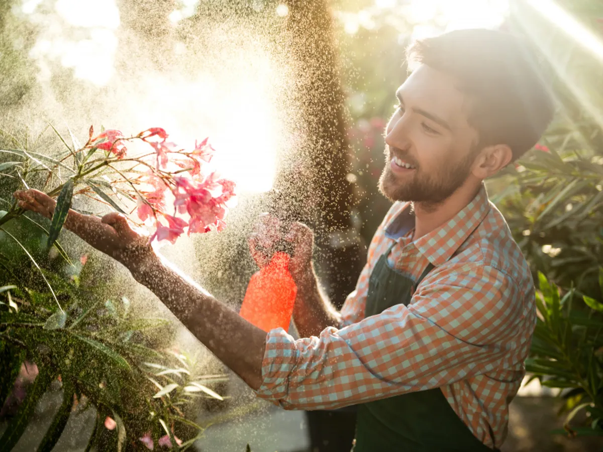 De ce este bine să „plantezi” lână de oaie în straturile de flori și legume? Rezultatele sunt uimitoare
