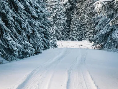 Ninsoare pe drum de munte - Foto: Pexels/Burak The Weekender