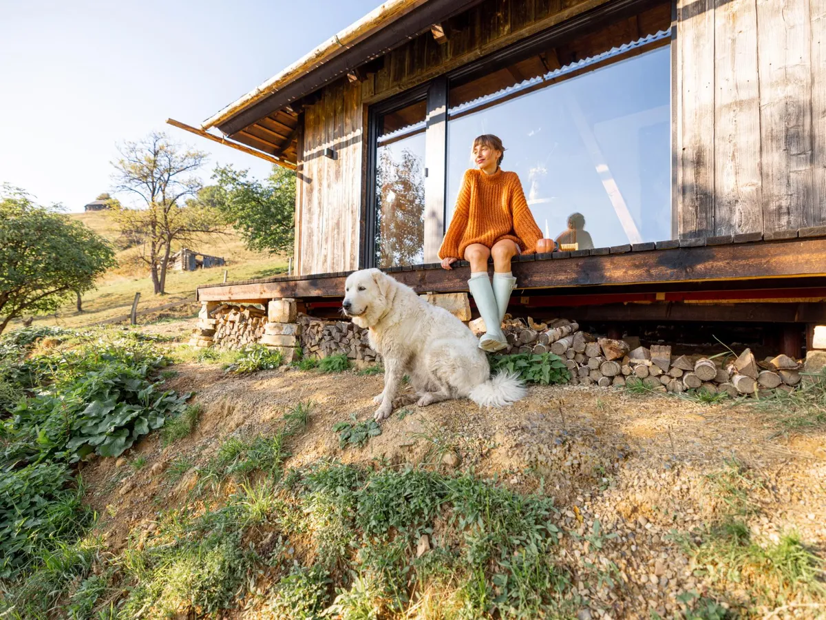 Casă tip container - Foto: Freepik (Imagine cu rol ilustrativ)