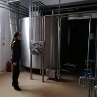 Irina Filip la fabrica sa de înghețată/FOTO: Investigatoria