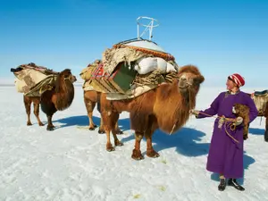 Mongolia - Foto: Profimedia