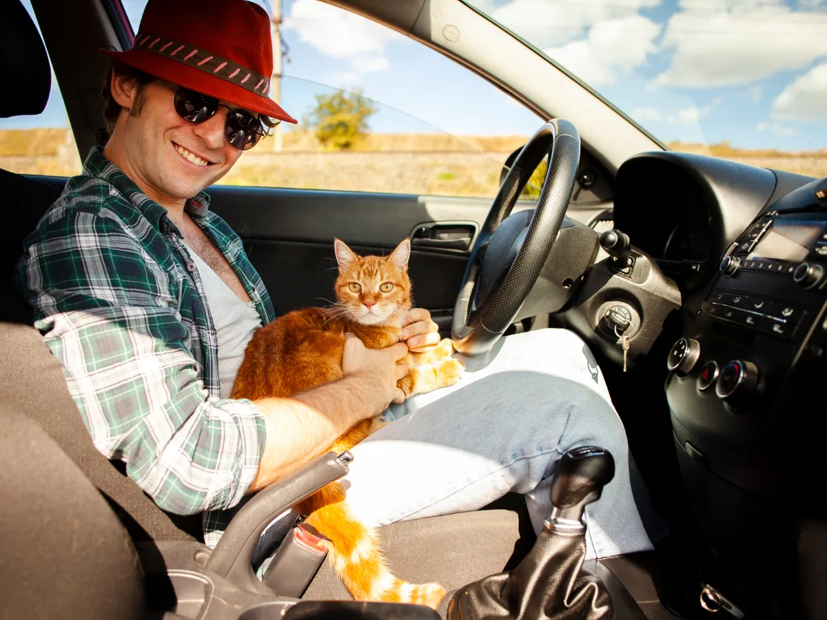Persoană care ține o pisică în brațe la volan - Foto: Freepik (Imagine cu rol ilustrativ)