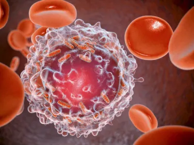 Progres major în tratamentul cancerului. Un băiat de 3 ani cu metastaze s-a vindecat cu două doze dintr-o terapie experimentală
