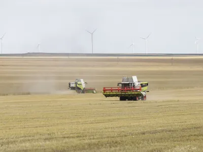 Combină recoltând orzul, în judeţul Constanţa. În plan îndepărtat, se văd morile eoliene - Foto: INQUAM PHOTOS/Octav Ganea