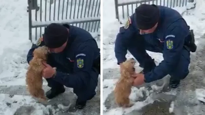 Misiune de salvare specială în Iasi - Foto: Facebook/ Jandarmeria Română