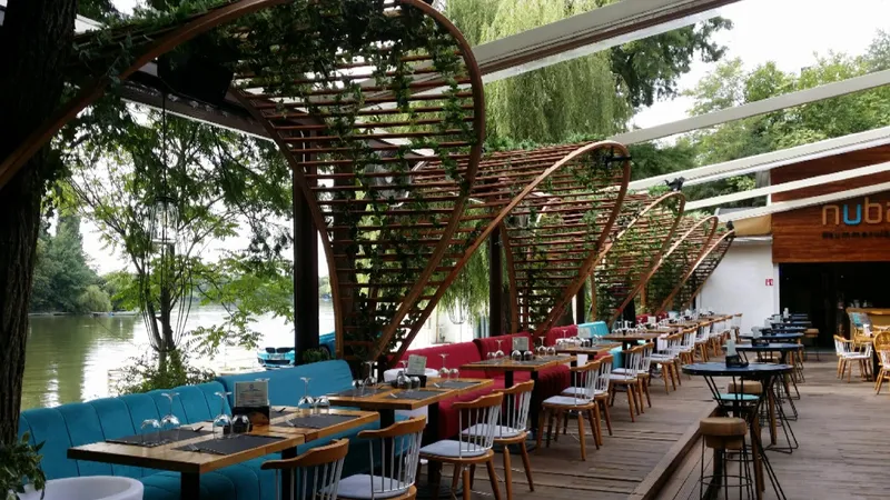 Trei firme, urmărite penal pentru efectuarea de lucrări de construire fără autorizaţie în Herăstrău. / Foto: restocracy.ro