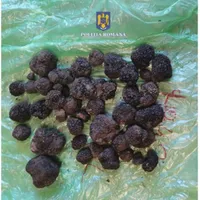 A început sezonul trufelor în România. Un kilogram ajunge să se vândă şi cu 1.000 de lei Foto: Politia Romana