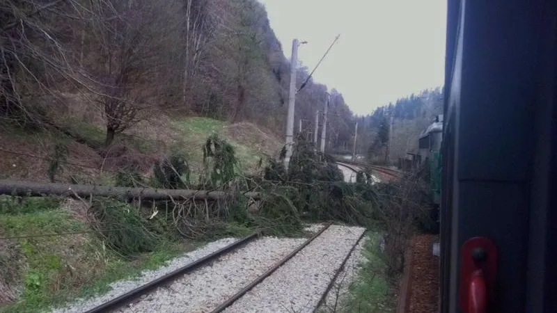 Trafic feroviar întrerupt, din cauza copacilor căzuți pe șine și a vremii nefavorabile. / Foto: digi24.ro