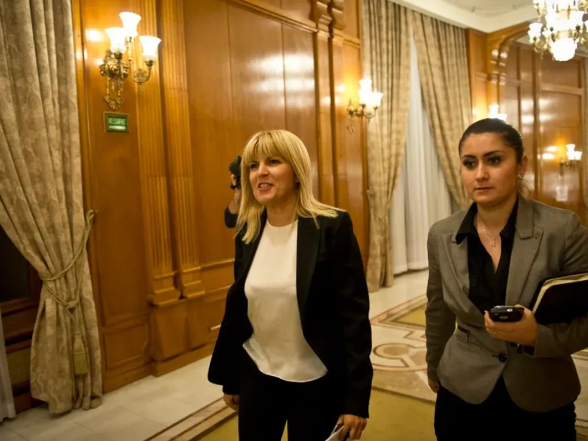 Elena Udrea, dusă la spital, după ce i s-a făcut rău în închisoare. Ce a pățit fostul ministru - Foto: Profimedia Images