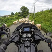 Foto: Facebook Harley-Davidson