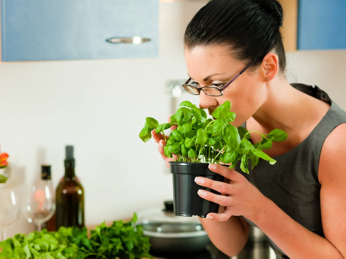 Femeie care miroase busuioc - Foto: Freepik (Imagine cu rol ilustrativ)