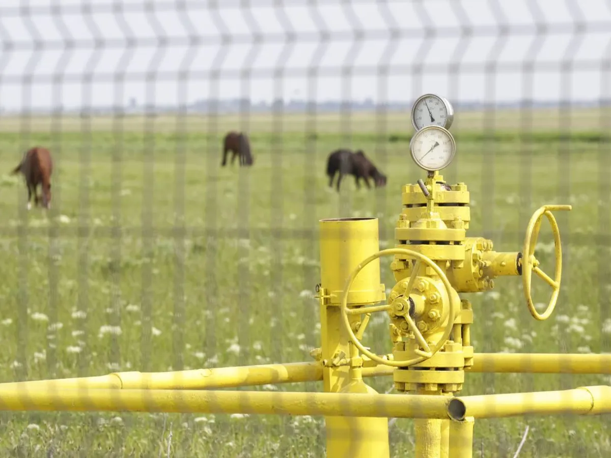 Romgaz. Buzău, Caragele. Cel mai mare zăcământ de gaze naturale onshore descoperit în România - Foto: INQUAM PHOTOS/Adel Al-Haddad