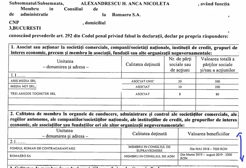 Anca Alexandrescu, declarație interese - Foto: ANI
