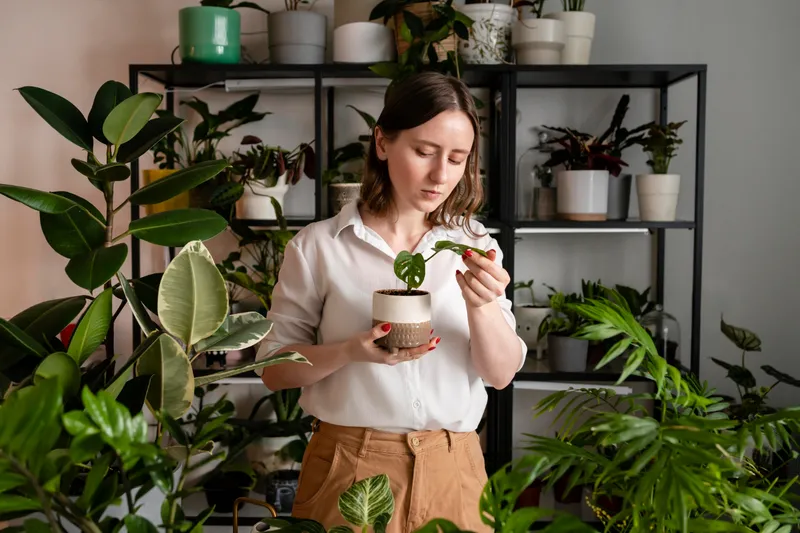 Femeie cu plante de interior - Foto: Magnific (Imagine cu rol ilustrativ)