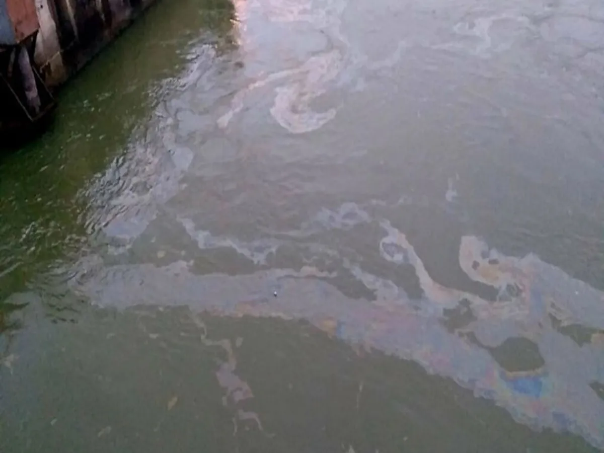 Poluare masivă pe Dunăre. O pată de uleiuri lungă de 12 km a fost descoperită în Caraș Severin Foto: captură video infocs