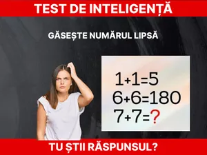 Test de inteligență Foto: Daniel Toșa