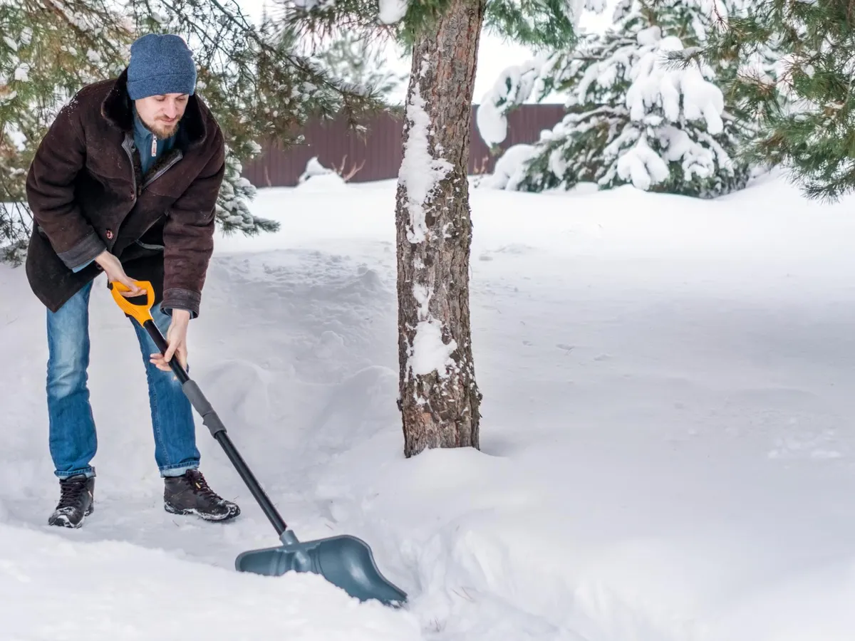 Ce poți face cu toată zăpada din curte? Vezi dacă o poți folosi ca protecție pentru pomi și plante