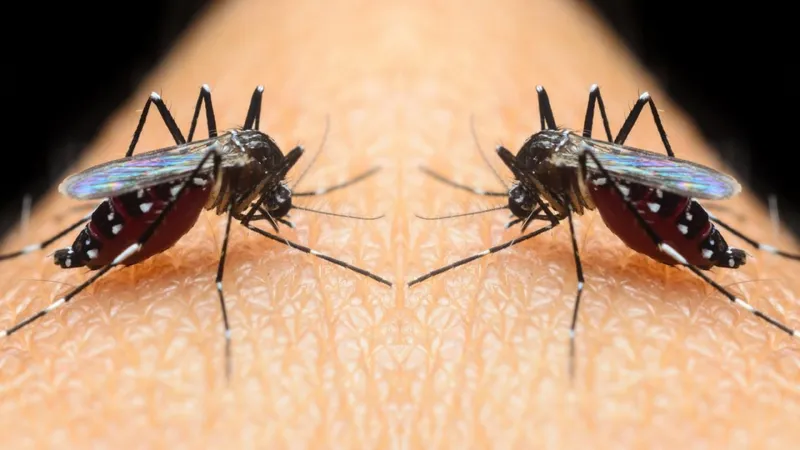 O persoană infectată cu West Nile a decedat  / euronews