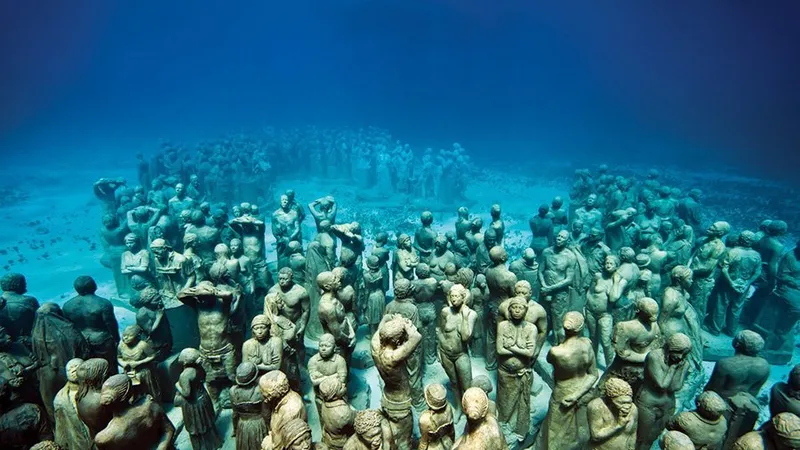 Evoluție discretă - Isla Mujeres, Mexic
