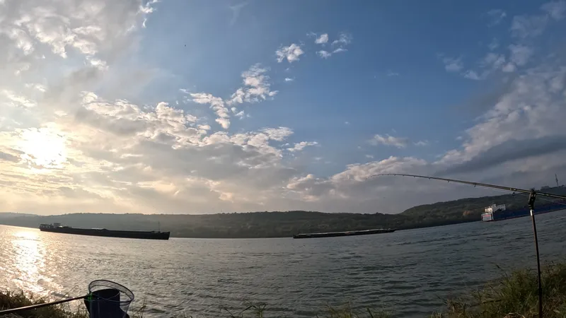 Dunăre - Foto: PCF Fishing