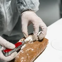 Foto: MART PRODUCTION / Pexels