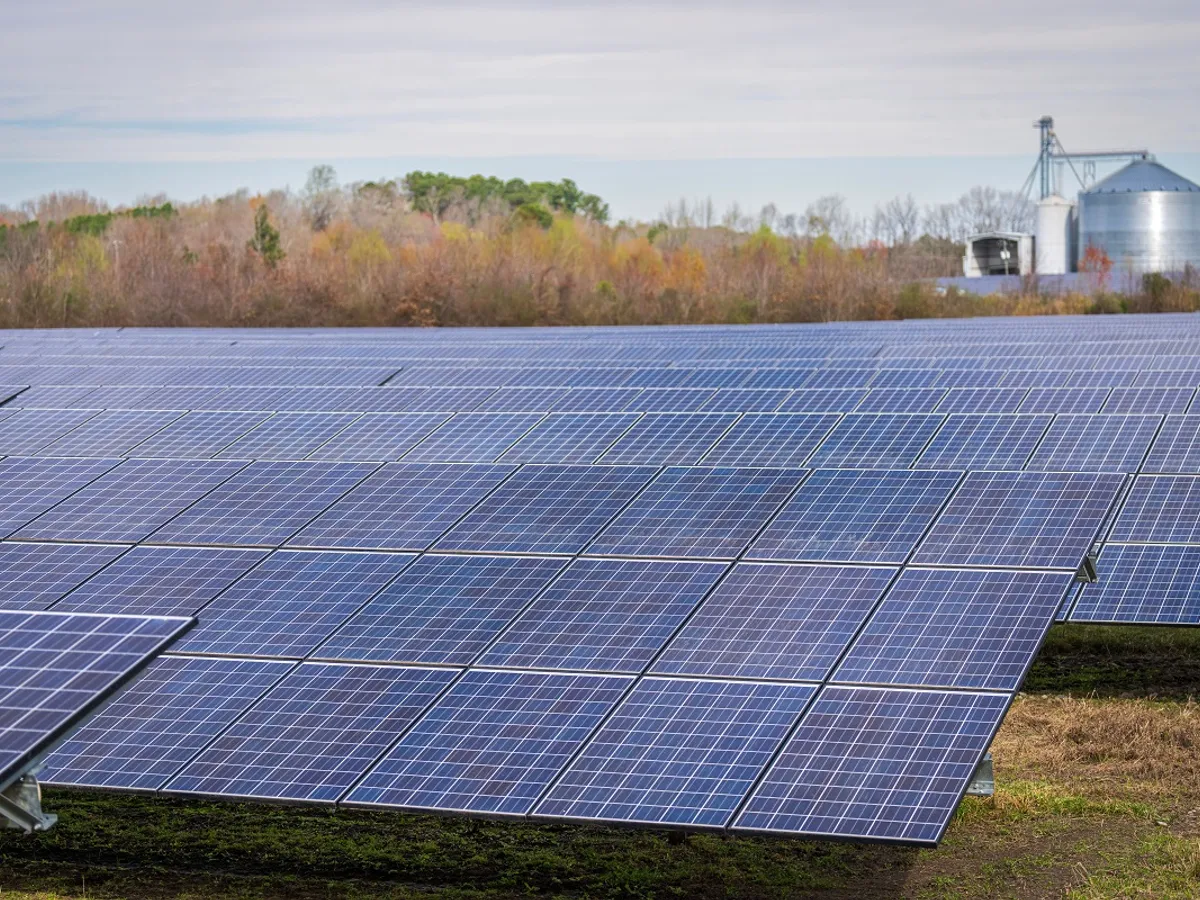 Parc de panouri fotovoltaice - Foto: Pexels (cu rol ilustrativ)