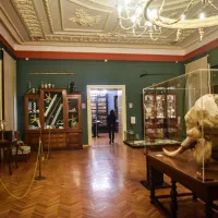 Marele jaf de la Muzeul Brukental, subiect de documentar. Un singur tablou valora 25 de milioane $ Foto: turnulsfatului.ro