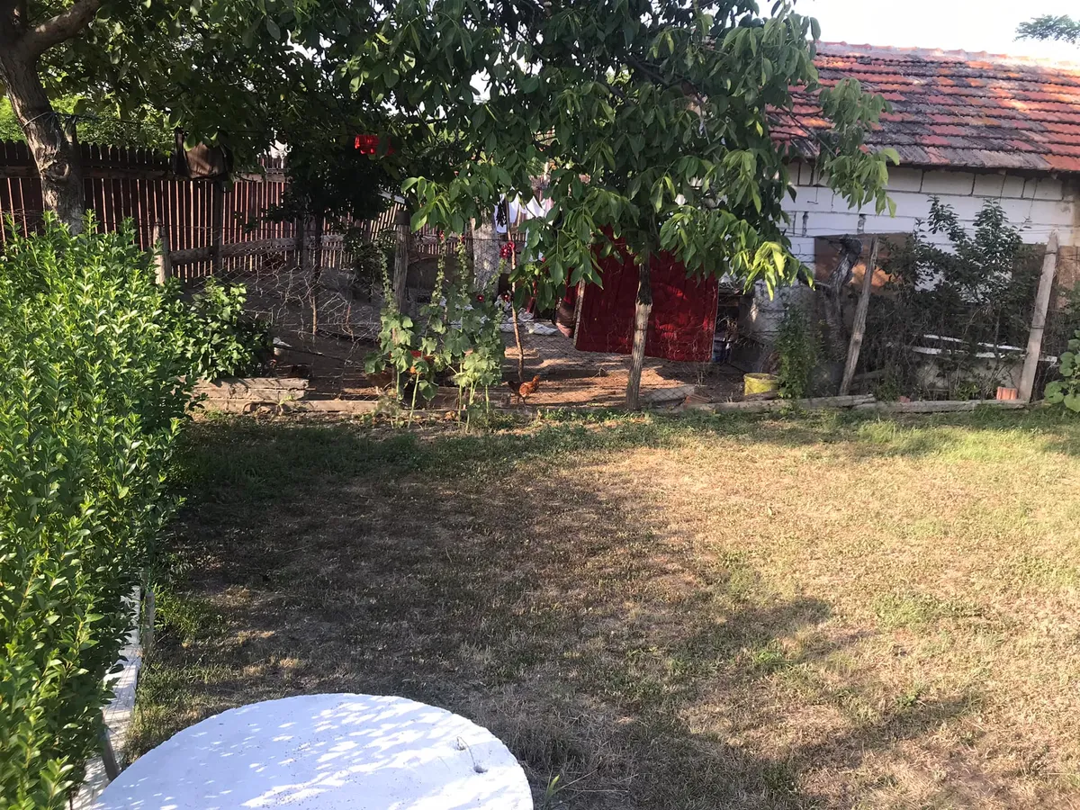 Un român nemulțumit de găinile vecinului - Foto: Facebook/ Mutat la țară- viața fără ceas