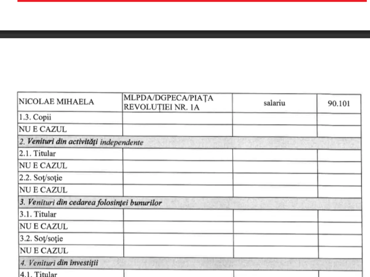 Sursa: Declarație de avere Ionel Nicolae, 2020
