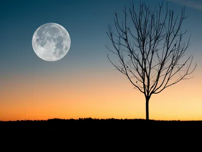 Omul care vinde teren pe Lună și în Sistemul Solar - Foto: Pexels (cu rol ilustrativ)
