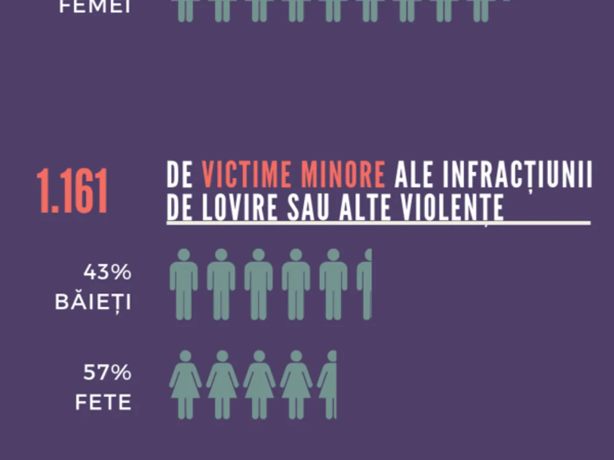 Sursa grafic: Rețeaua pentru prevenirea și combaterea violenței împotriva femeilor