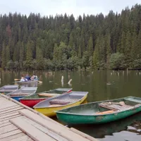 Descoperire uimitoare în apa unei stațiuni din România. Ar putea fi mâncarea viitorului - Foto: Profimedia Images/ Imagine cu caracter ilustrativ