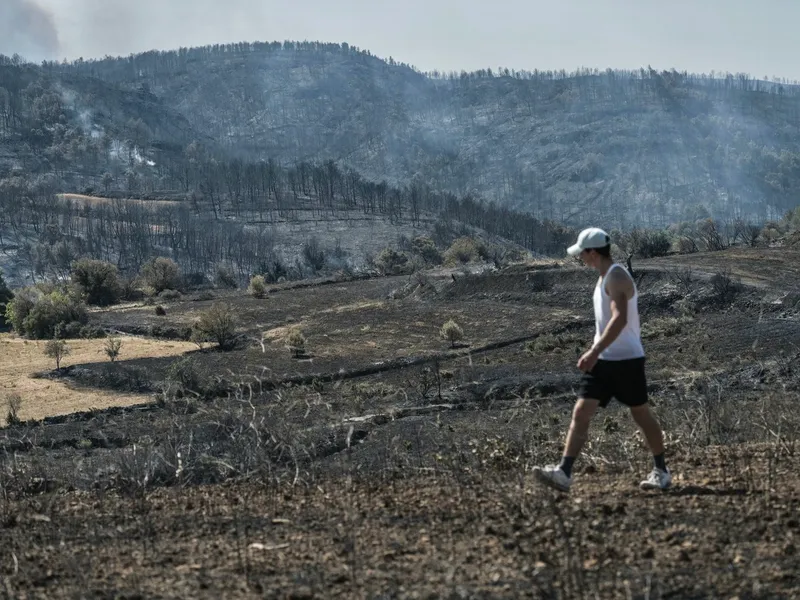 Incendiu de vegetație în Franța - Foto. Profimedia Images