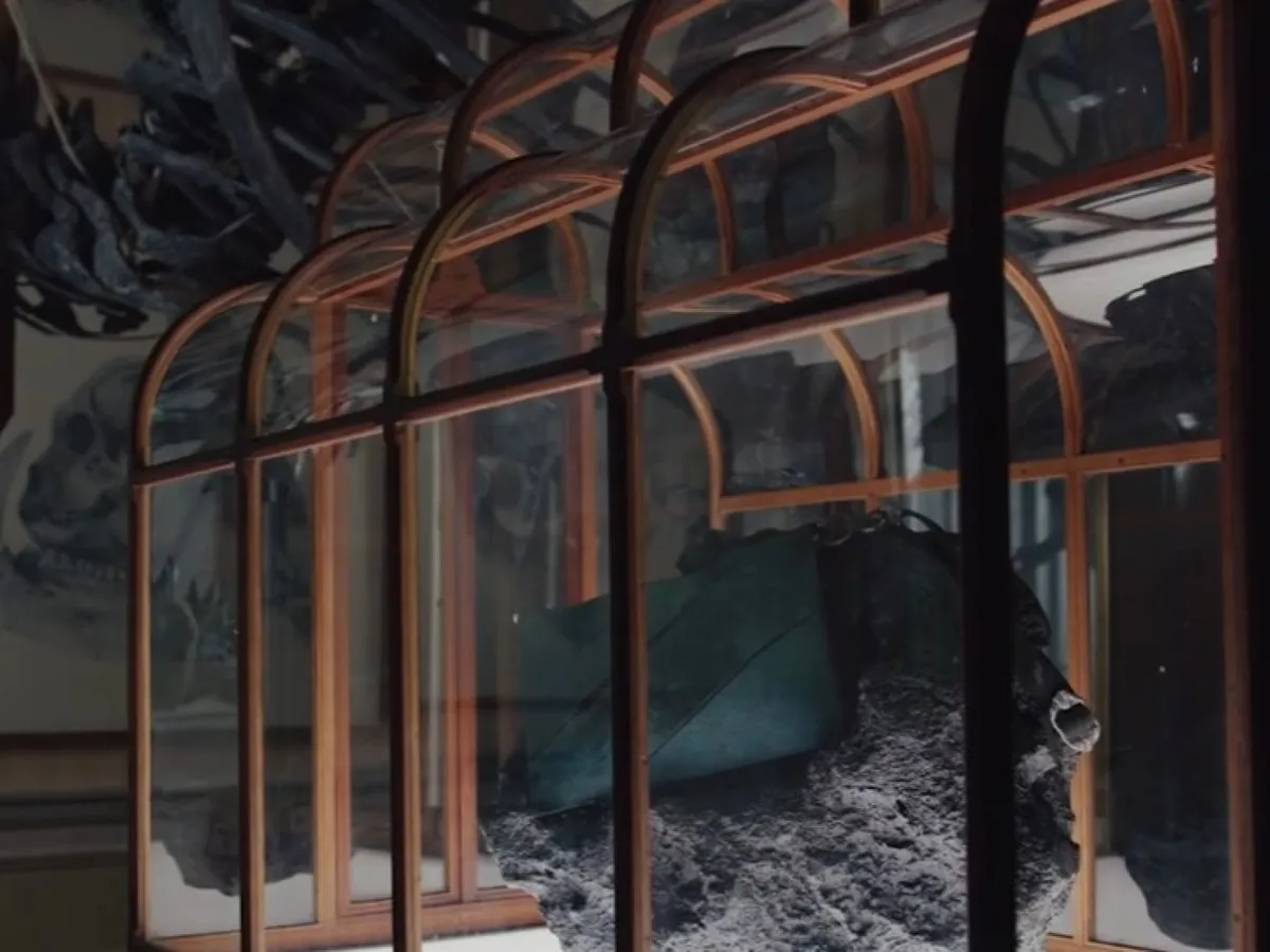 Geantă din „piele de T. rex”, creată în laborator: va fi scoasă la licitație pentru peste 500.000 de dolari