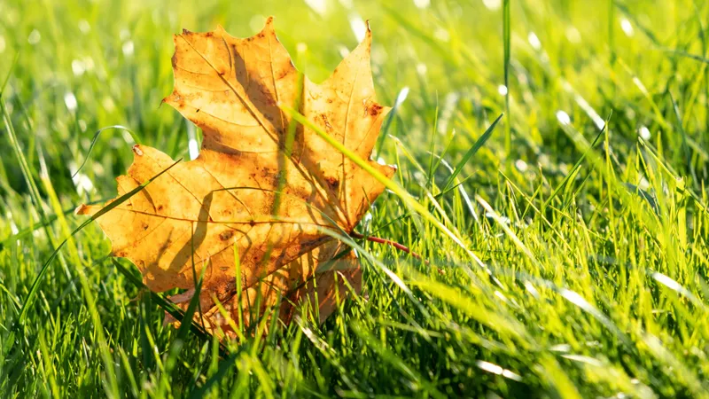 METEO în luna septembrie. Cum va fi vremea și ce spun specialiștii ANM despre prima lună de toamnă? - Foto: Arhiva / imagine cu rol ilustrativ