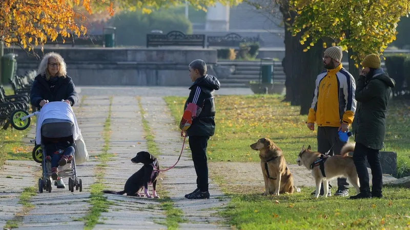 Cel mai scump animal de companie din costă 2 milioane de dolari - Foto: Pixabay - cu rol ilustrativ