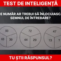 Test de inteligență Foto: Daniel Toșa