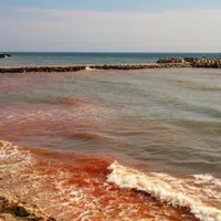 Fenomen inedit pe litoral. Marea Neagră a devenit... roșie. Valurile sunt fosforescente noaptea - Foto: Observator / imagine cu caracter ilustrativ