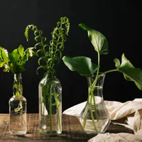 6 plante pe care le poți crește tu în apă, acasă. Sănătoase, simple și mai ieftine decât din piață - FOTO: Freepik (imagine cu rol ilustrativ)