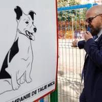 Se retrage Piedone din cursa pentru București? Cum îl poate convinge Firea care ar deveni favorită? - Foto: INQUAM PHOTOS / Octav Ganea