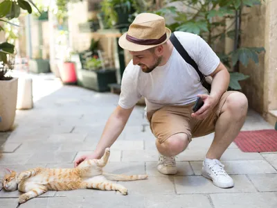 Bărbat care mângâie o pisică - Foto: Freepik (Imagine cu rol ilustrativ)