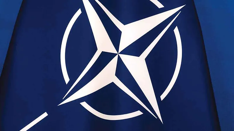 Cooperarea militară, inclusiv cu NATO, funcționează