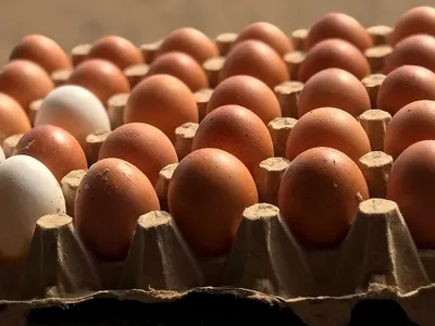 Ouă din două supermarketuri din țară retrase din cauza riscului de contaminare cu Salmonella - Foto: Freepik