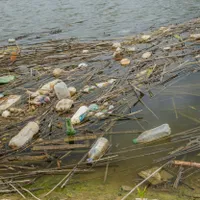 Gunoaiele aruncate cu sacii de pe vapoare au sufocat Delta Dunării. Autoritățile, impasibile - Foto: Profimedia Images/ Imagine cu caracter ilustrativ