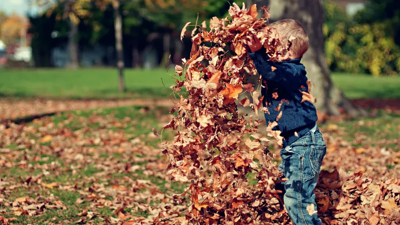 Vremea în Septembrie- Foto: PEXELS PHOTOS/Scott Webb